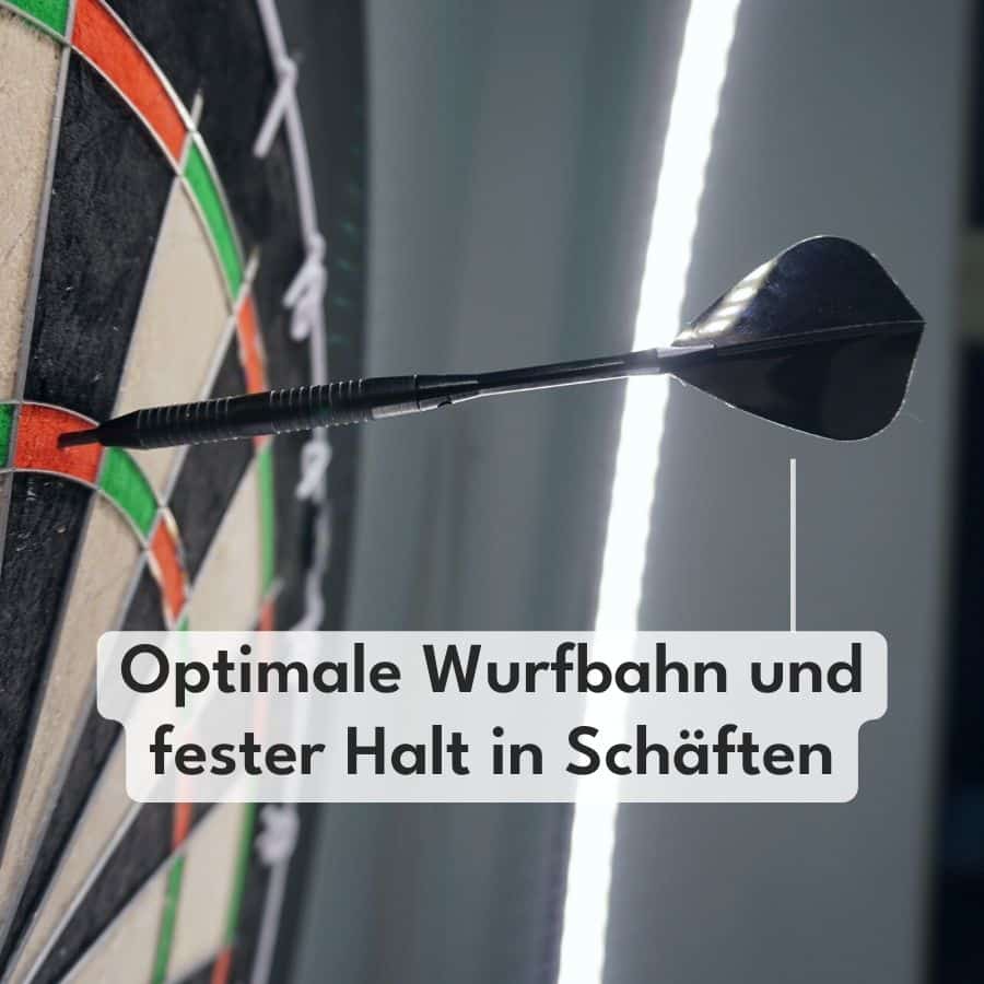 Kite Dart Flights Blank