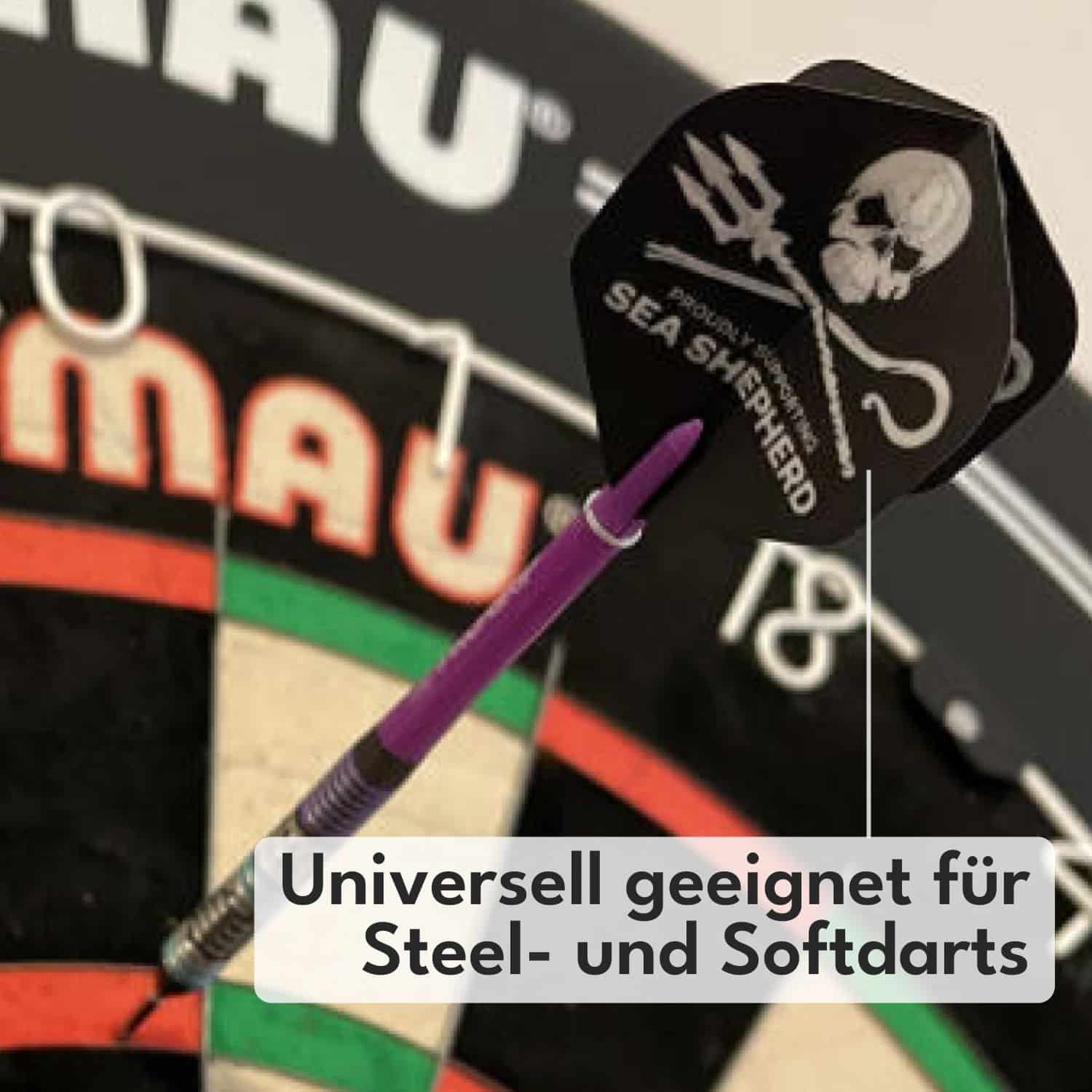 Personalisierte Dart Flights zum selbst gestalten (8 Sets)