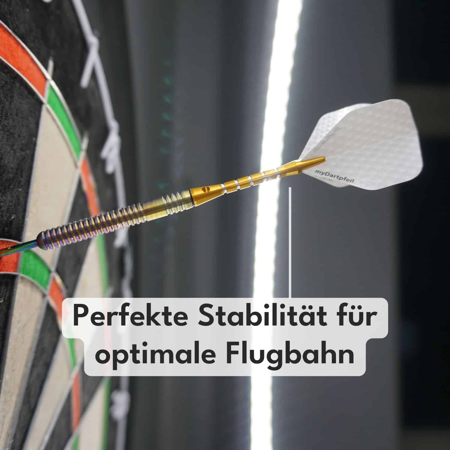 https://mydartpfeil.com/cdn/shop/files/Geringte-Alu-Darts-Schaefte-fuer-Perfekte-Stabilitaet-fuer-optimale-Flugbahn.jpg?v=1697578374&width=1500